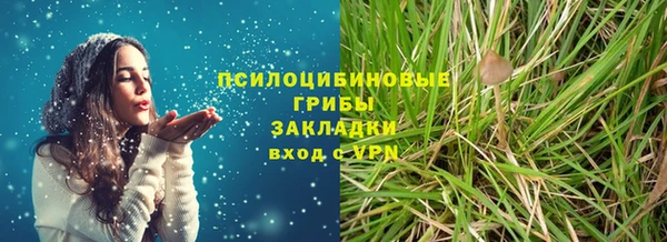 дживик Балахна
