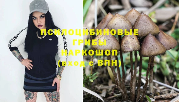 дживик Балахна