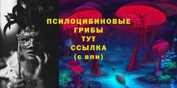 дживик Балахна