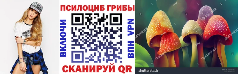 Псилоцибиновые грибы MAGIC MUSHROOMS  Малмыж 
